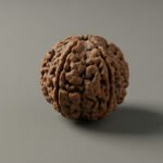 1 Mukhi Rudraksha | Original Certified for Traditional Use - Image 3