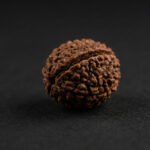 1 Mukhi Rudraksha | Original Certified for Traditional Use
