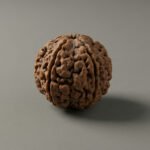 2 Mukhi Rudraksha 100% Natural Rudraksha
