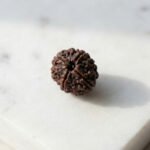 2 Mukhi Rudraksha 100% Natural Rudraksha - Image 3