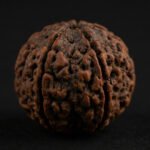 4 Mukhi Rudraksha Nepali Prayer Beads 4 Face