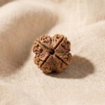 4 Mukhi Rudraksha Nepali Prayer Beads 4 Face - Image 3
