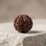 Buy Original 5 Mukhi Rudraksha - Image 2