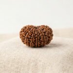 10 Mukhi Rudraksha