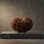 11 Mukhi Rudraksha