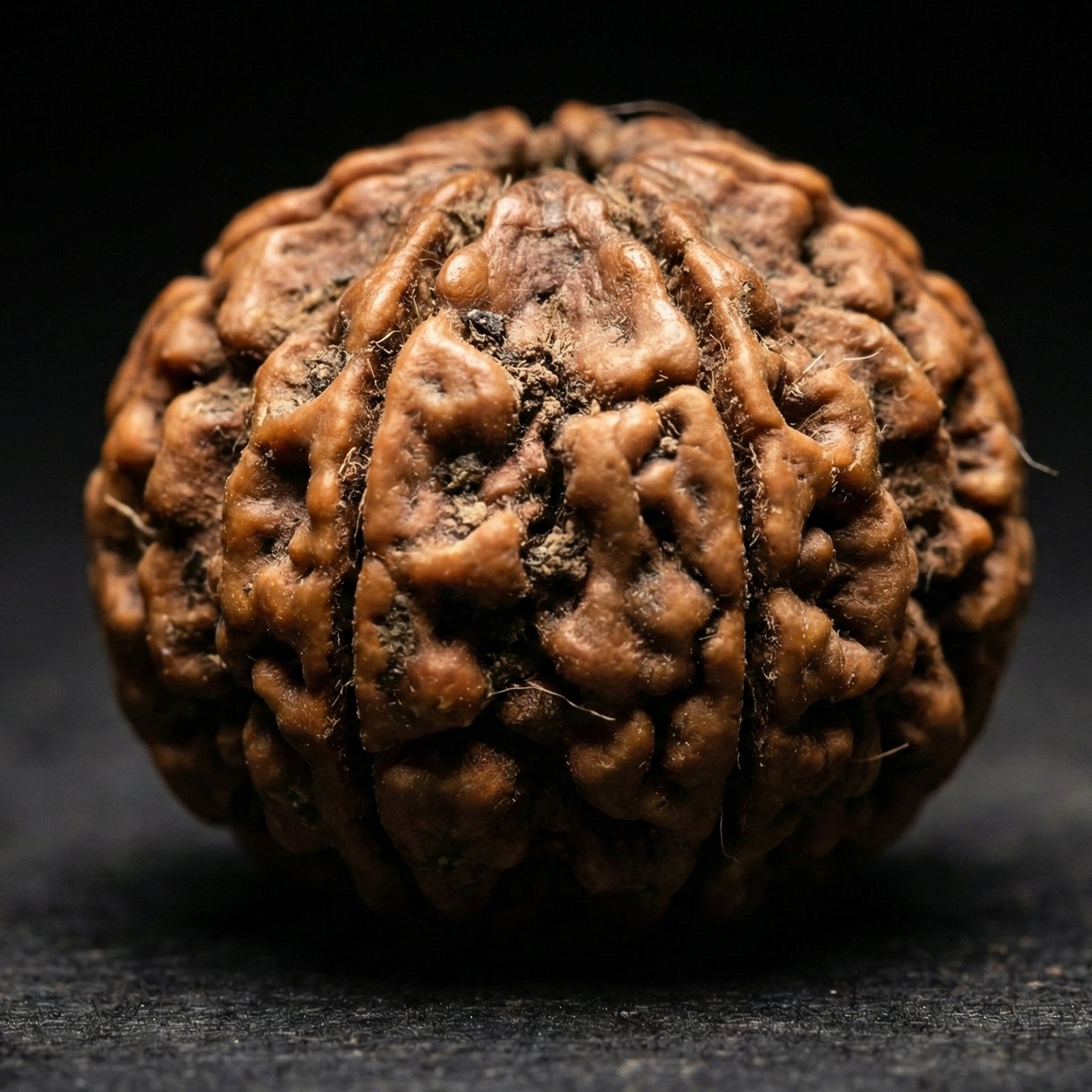 6 Mukhi Rudraksha (2) 6 Mukhi Rudraksha | Best Original 6 Mukhi Rudraksha - Image 1