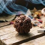 8 Mukhi Rudraksha